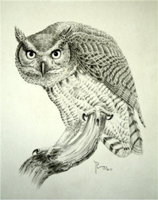 Horn Owl